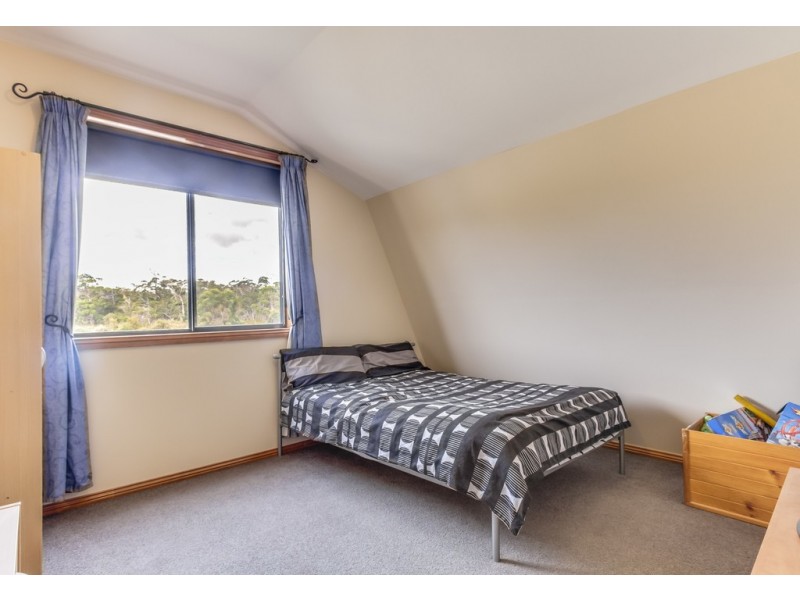 375 Badger Head Road, Badger Head TAS 7270