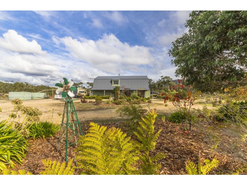 375 Badger Head Road, Badger Head TAS 7270