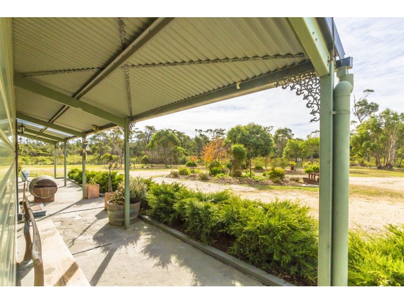 375 Badger Head Road, Badger Head TAS 7270