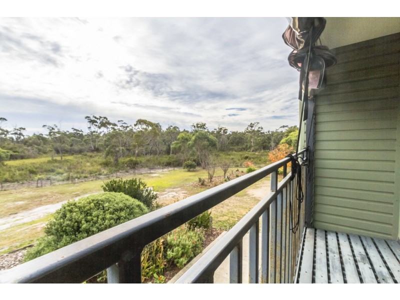 375 Badger Head Road, Badger Head TAS 7270