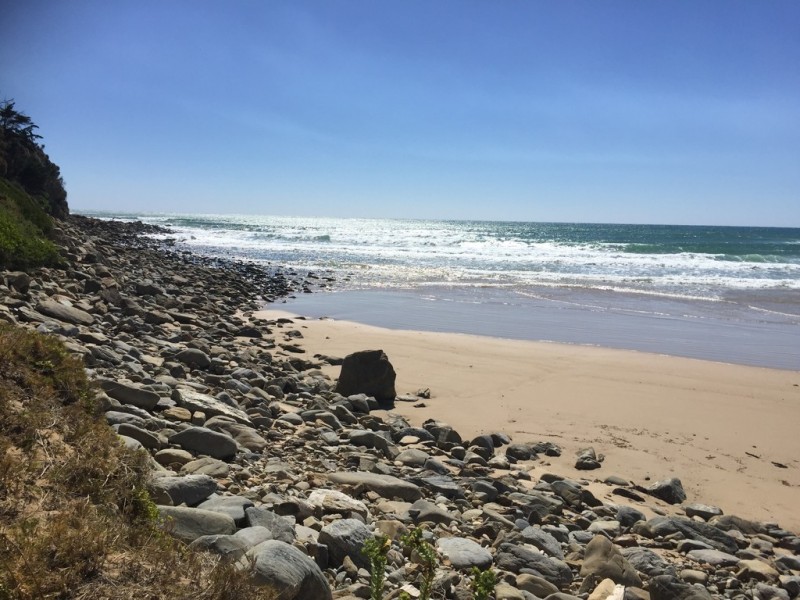 375 Badger Head Road, Badger Head TAS 7270