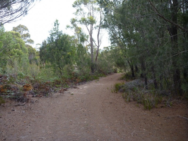 141 Badger Head Rd, Badger Head TAS 7270