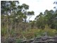 141 Badger Head Rd, Badger Head TAS 7270