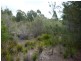 141 Badger Head Rd, Badger Head TAS 7270
