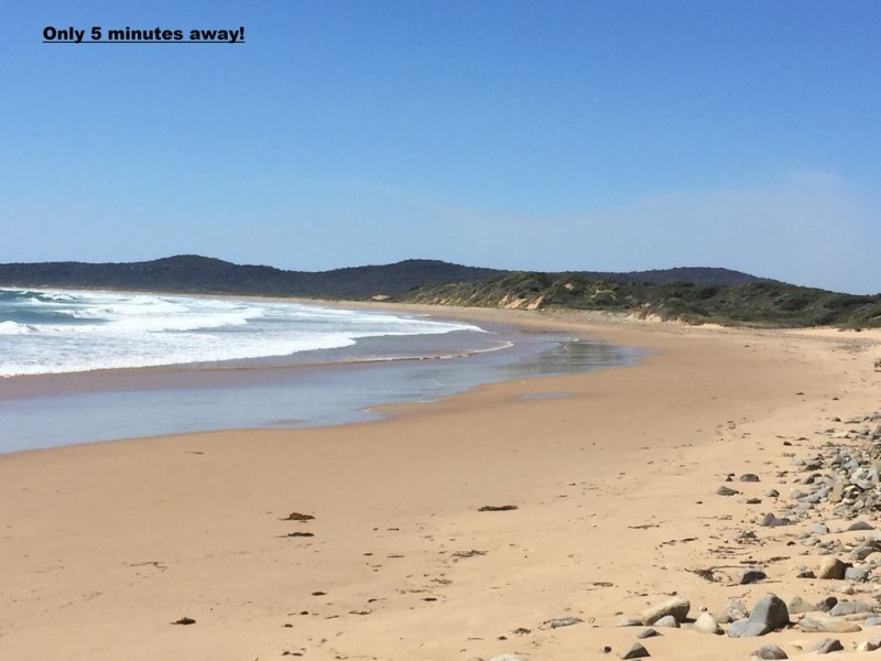 141 Badger Head Rd, Badger Head TAS 7270