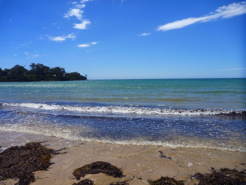 108 Top Road West, Greens Beach TAS 7270