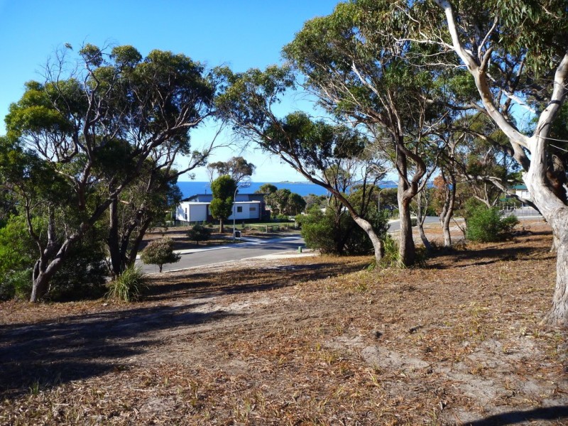 113 Top Road West, Greens Beach TAS 7270