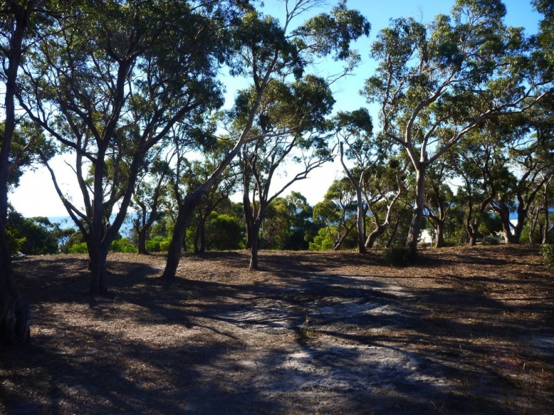 113 Top Road West, Greens Beach TAS 7270