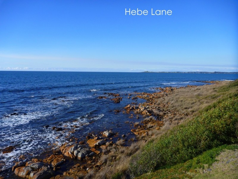 113 Top Road West, Greens Beach TAS 7270