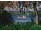 159 Kayena Road, Kayena TAS 7270