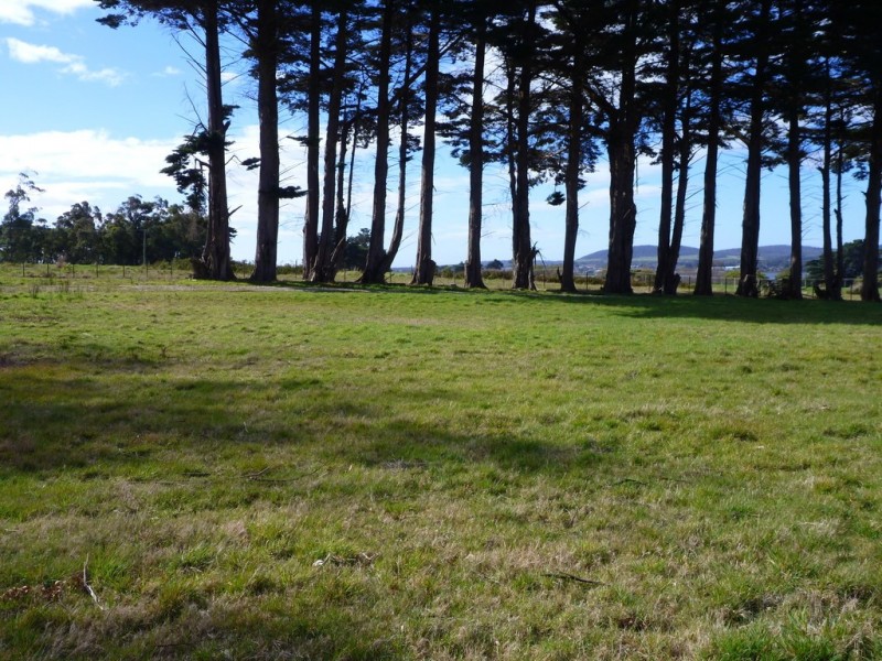 14 Chisholm Avenue, Clarence Point TAS 7270