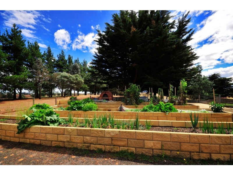 31-41 Grant Street, Campbell Town TAS 7210