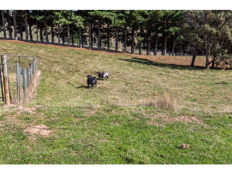 15 Frasers Rd, Glengarry TAS 7275