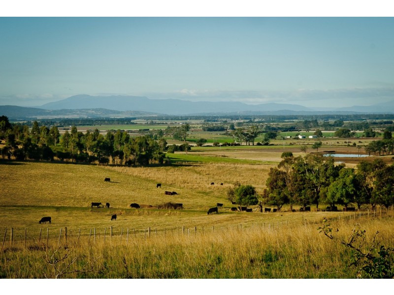 798 Black Hills Rd, Westbury TAS 7303