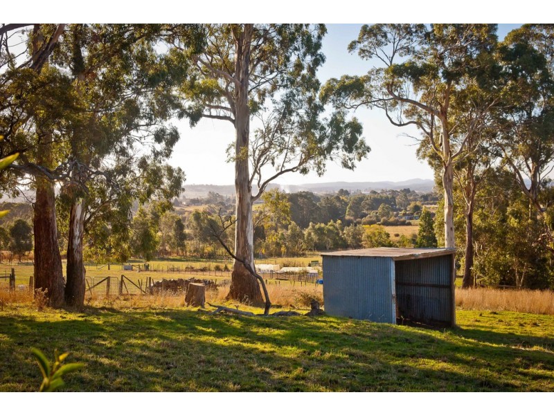 798 Black Hills Rd, Westbury TAS 7303