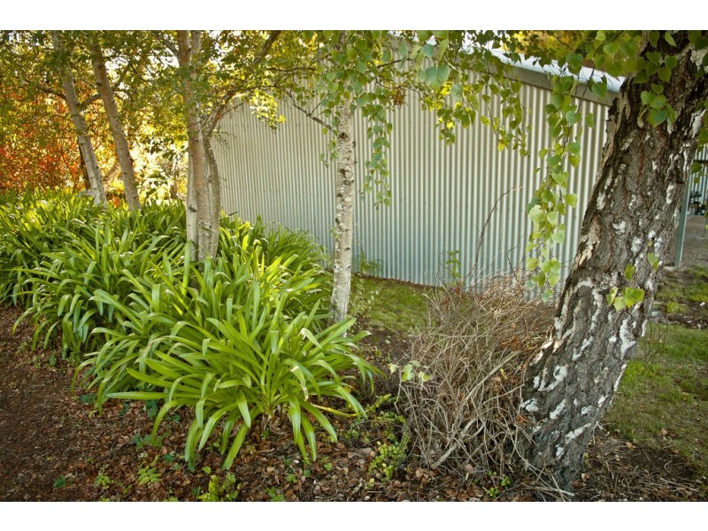 798 Black Hills Rd, Westbury TAS 7303