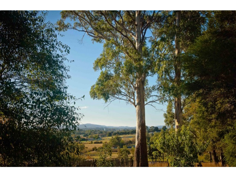 798 Black Hills Rd, Westbury TAS 7303