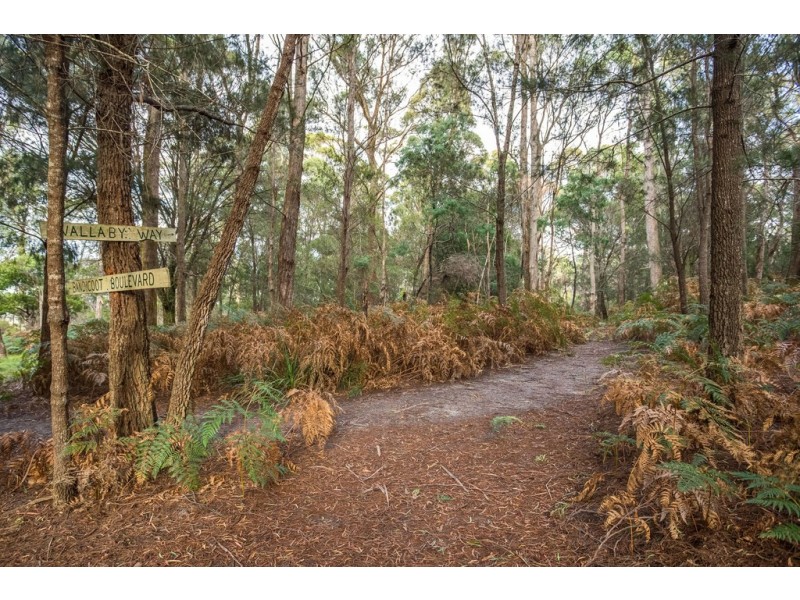 273 Batman Highway, Sidmouth TAS 7270
