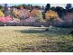8 East Parade, Deloraine TAS 7304
