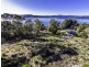 373 Deviot Road, Deviot TAS 7275