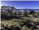 373 Deviot Road, Deviot TAS 7275