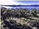 373 Deviot Road, Deviot TAS 7275