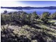 373 Deviot Road, Deviot TAS 7275