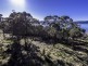 373 Deviot Road, Deviot TAS 7275