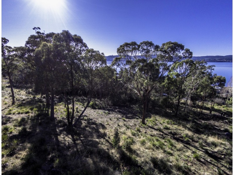 373 Deviot Road, Deviot TAS 7275
