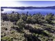 373 Deviot Road, Deviot TAS 7275