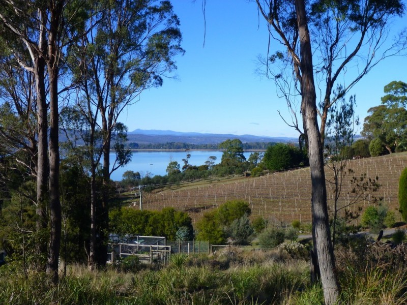 373 Deviot Road, Deviot TAS 7275