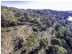373 Deviot Road, Deviot TAS 7275