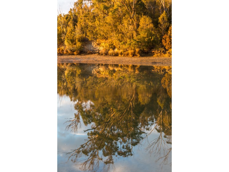 586 Greens Beach Road, York Town TAS 7270