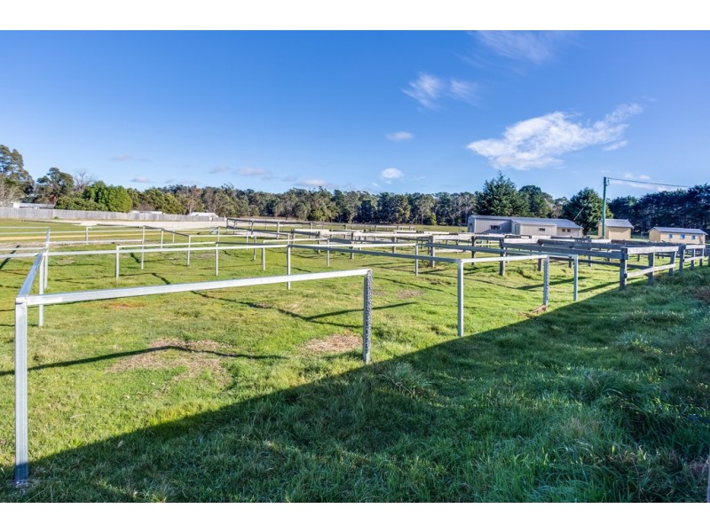 391 Gravelly Beach Road, Gravelly Beach TAS 7276