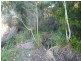 88 Sunset Boulevard, Clarence Point TAS 7270