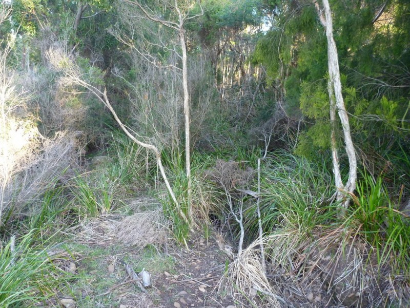 88 Sunset Boulevard, Clarence Point TAS 7270