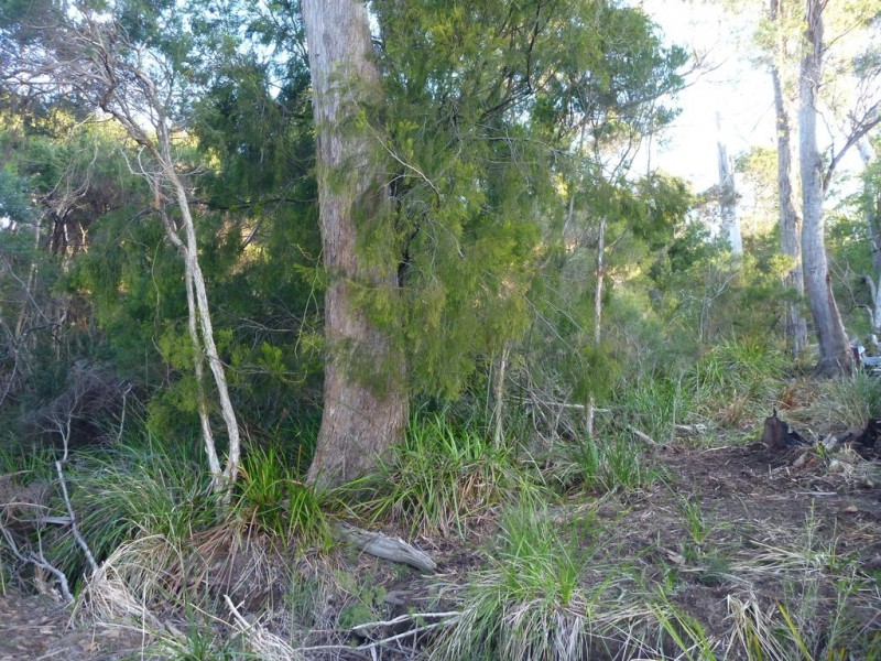 88 Sunset Boulevard, Clarence Point TAS 7270