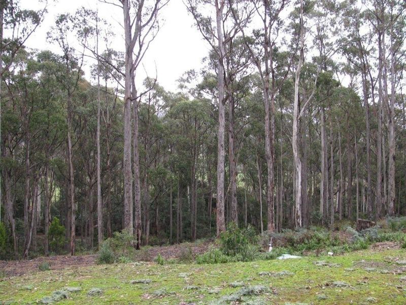 189 Ginns Road, Birralee TAS 7303