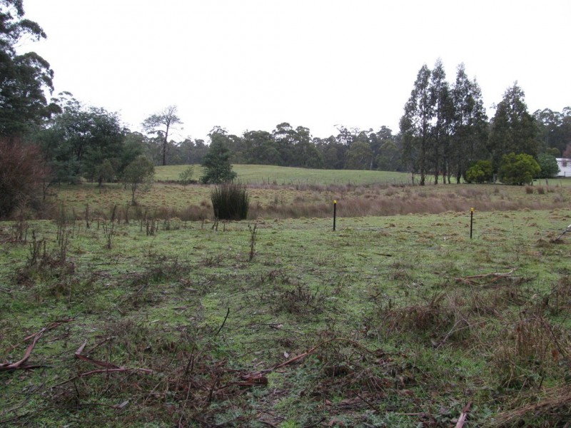 189 Ginns Road, Birralee TAS 7303