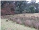 189 Ginns Road, Birralee TAS 7303