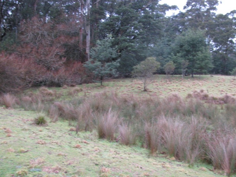 189 Ginns Road, Birralee TAS 7303
