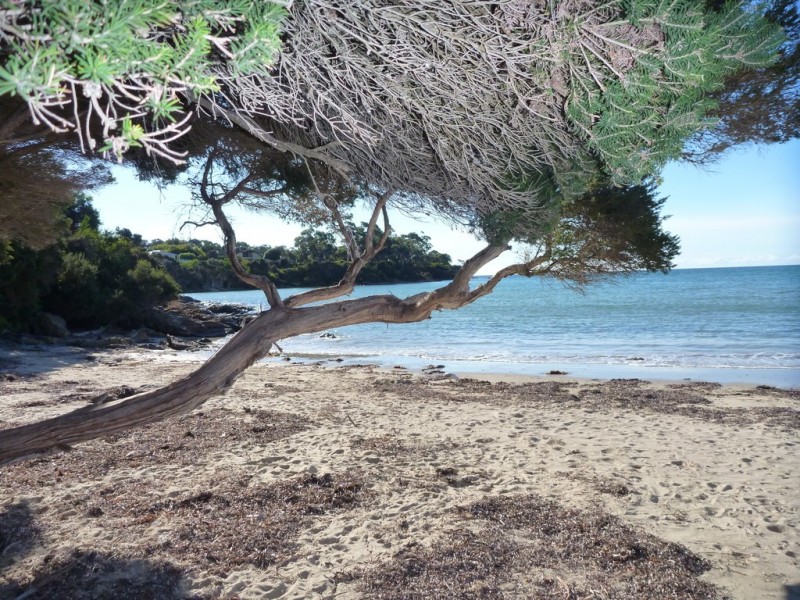 23 Pars Road, Greens Beach TAS 7270