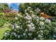 47 Jay Dee Road, Glengarry TAS 7275