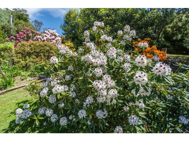 47 Jay Dee Road, Glengarry TAS 7275