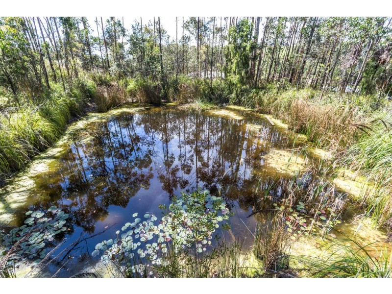 47 Jay Dee Road, Glengarry TAS 7275