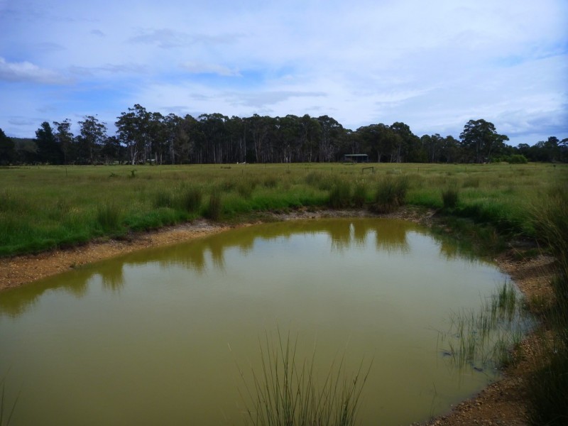 51 Calverts Lane, Gravelly Beach TAS 7276