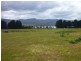 51 Calverts Lane, Gravelly Beach TAS 7276
