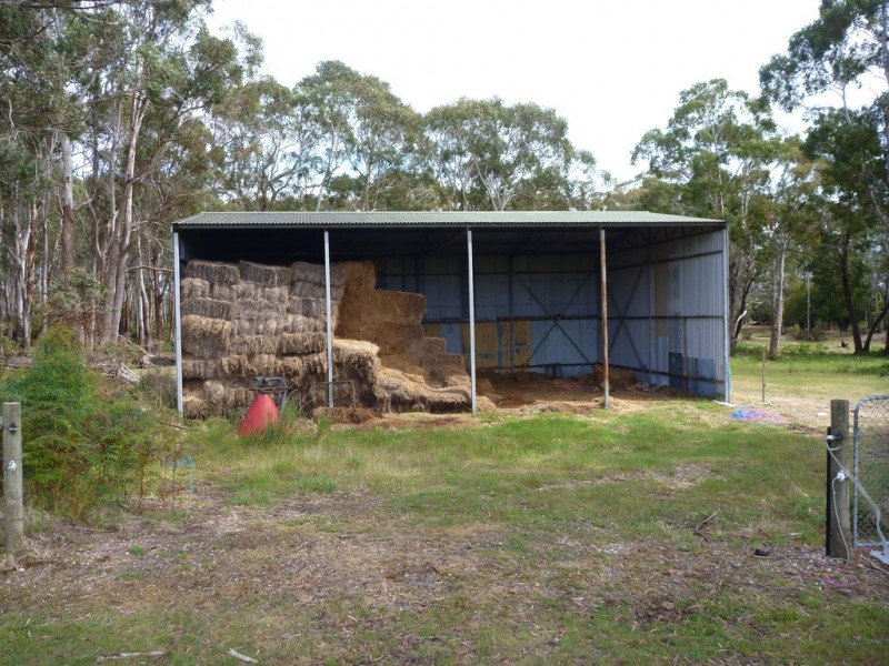 51 Calverts Lane, Gravelly Beach TAS 7276