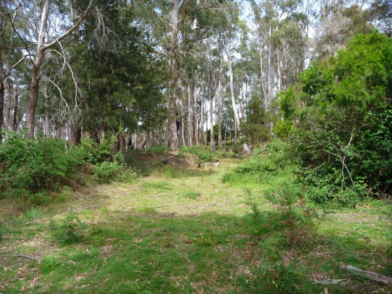 51 Calverts Lane, Gravelly Beach TAS 7276