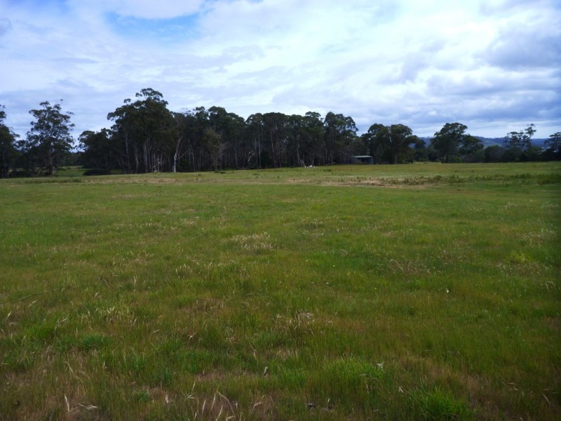 51 Calverts Lane, Gravelly Beach TAS 7276